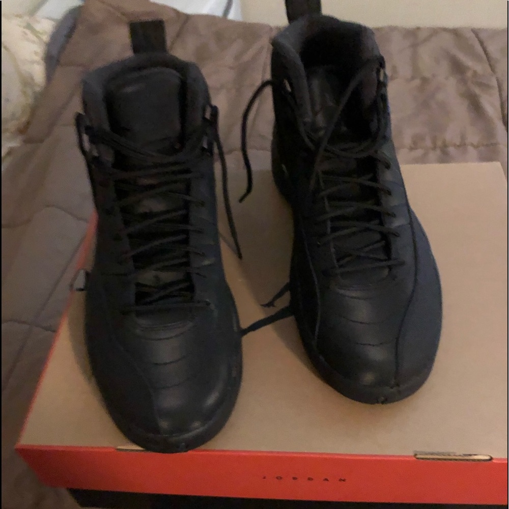 Jordan Retro 12